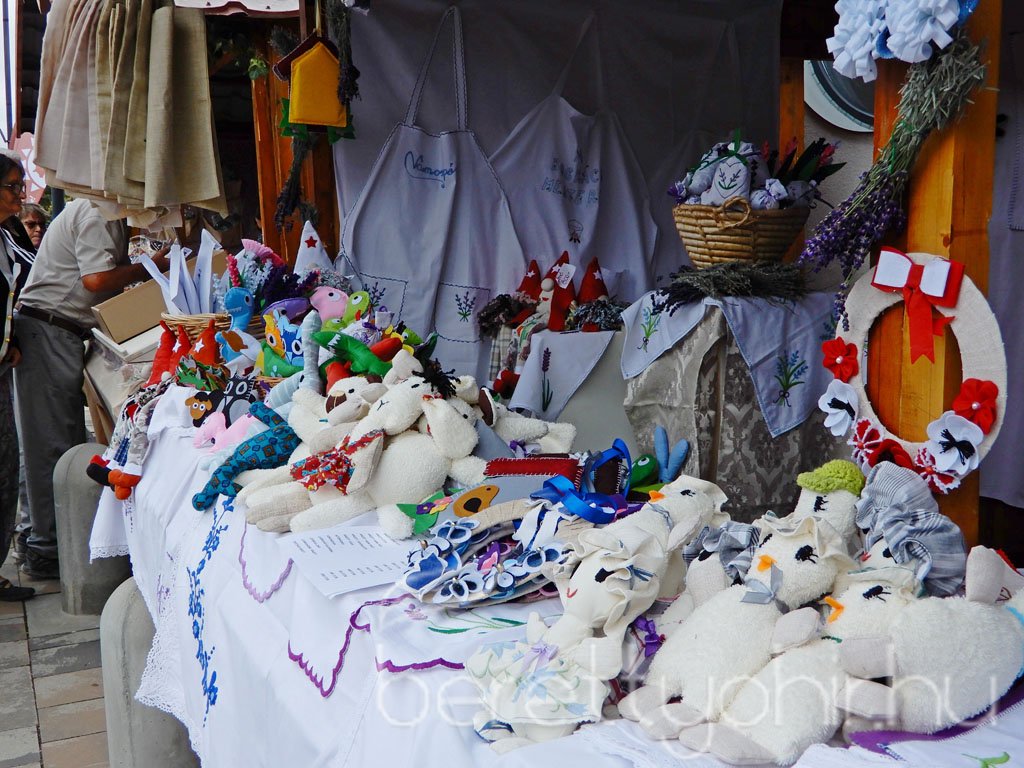 Helyi Értékek Startja 63